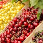 Чим корисна черешня: вітаміни, антиоксиданти та секрети