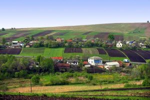 Скільки населених пунктів в Україні