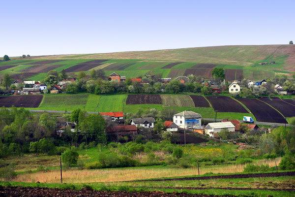 Скільки населених пунктів в Україні