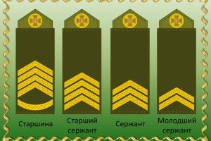 Звання ЗСУ: повний гід від рекрута до генерала