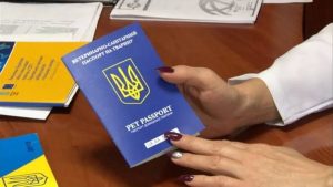 Зробити паспорт собаці ціна: детальний розбір витрат 2026
